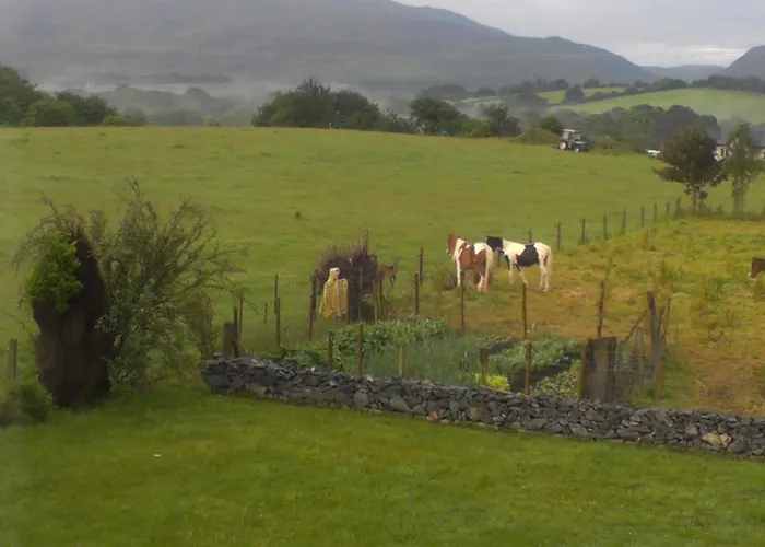Dunncourt House Nocleg ze śniadaniem Woodford (Kerry)