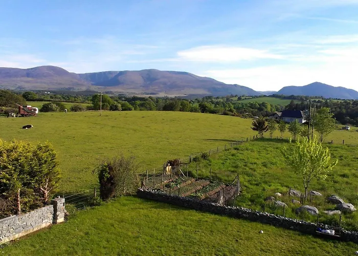 Nocleg ze śniadaniem Dunncourt House Woodford (Kerry)